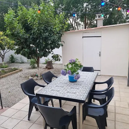 فيلة L'oranger سيجيان